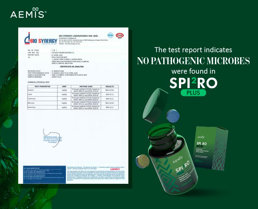 Safety Certificate 3